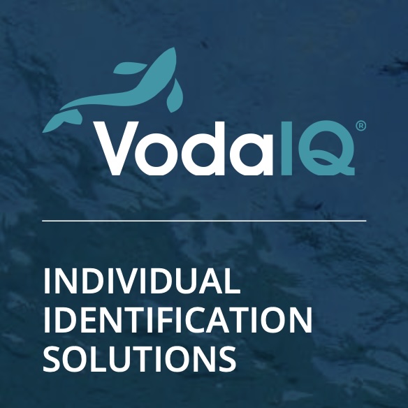 VodaIQ Logo