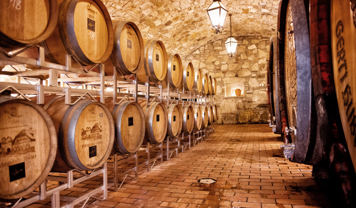 aschl_weingut_fuhrgassel_huber_062021_009