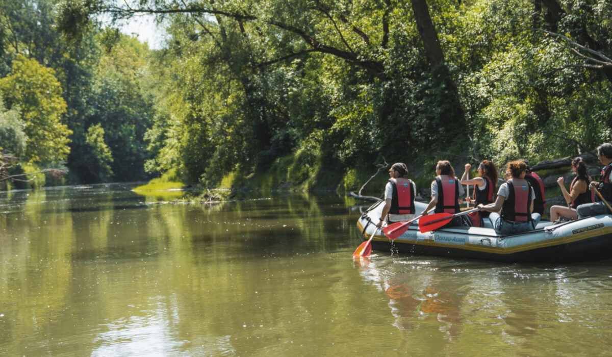 nationalpark-donau-auen-bootstour1 ©leitner